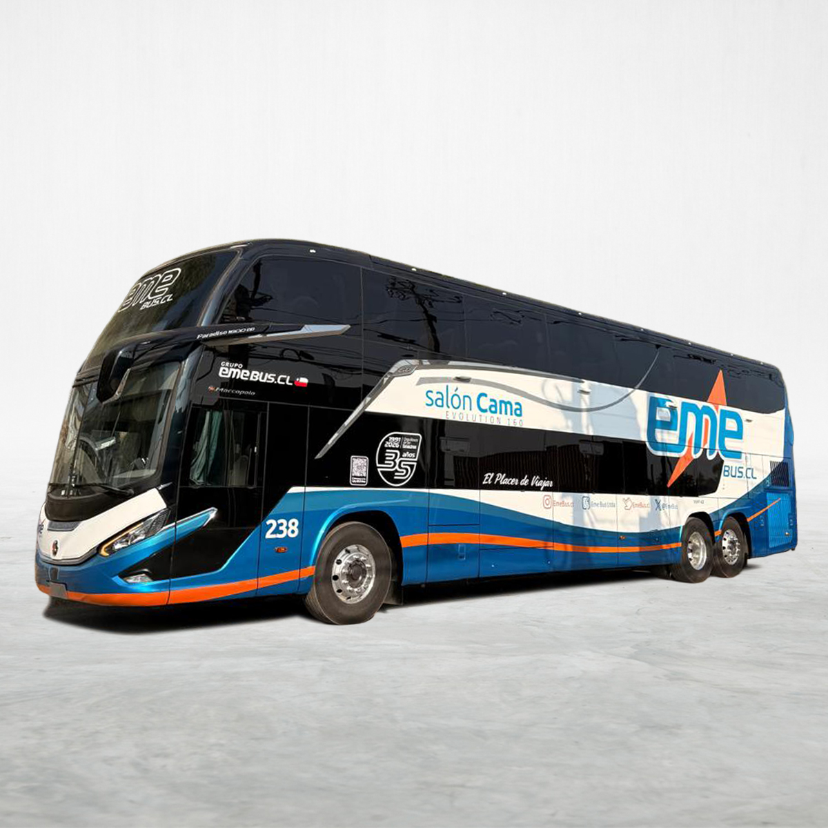 FRAESPA-004 MATERIALES DE PINTURAS Y PIGMENTOS - Imagen 1